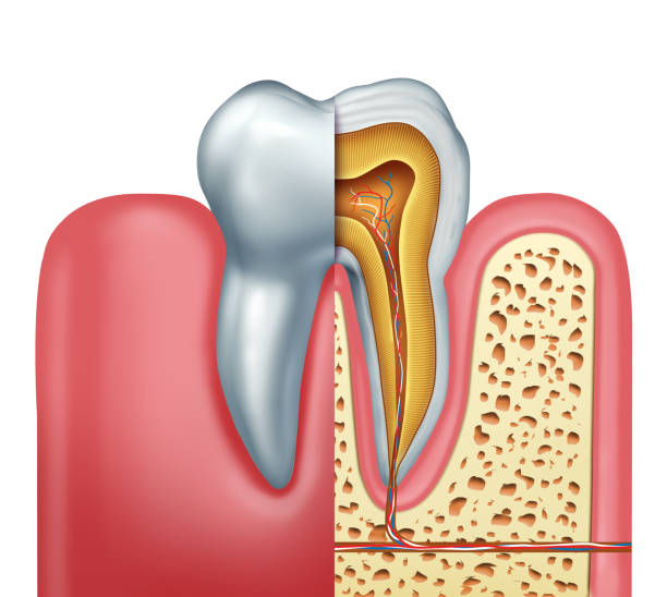 Baroda Dental Clinic